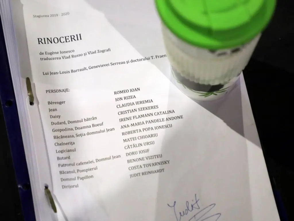 Teatrul Național din Timișoara dă startul faptelor pentru România anului 2021 cu un spectacol modern, bazat pe unul dintre cele mai importante titluri ale dramaturgiei universale: Rinocerii de Eugène Ionesco