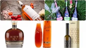 hospitality diplomat a lansat serviciul