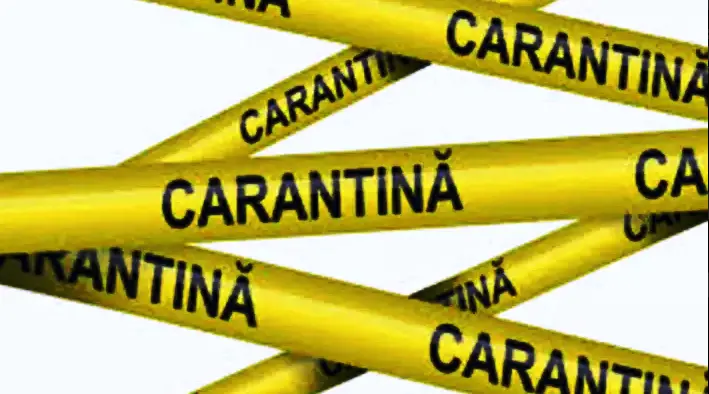 carantina