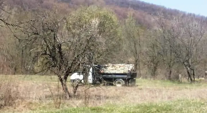 PĂDURILE trec printr-o CATASTROFĂ mult mai gravă decât PANDEMIA NOASTRĂ! Garda de Mediu a fost „în control” la Moneasa și s-a întors la Arad mahmură și plină de bani. După ce a plecat, DRUJBELE lui Nuțu Herbei și ale celorlalți TÂLHARI ai STATULUI și-au reînceput treaba la RĂNUȘA! [PROBE FOTO]