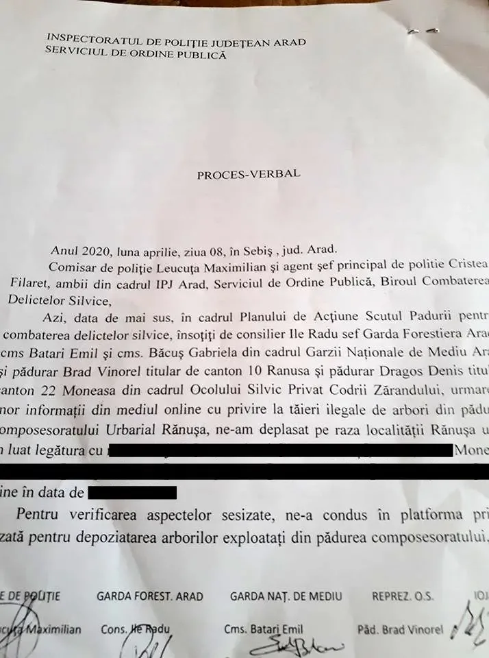 PĂDURILE trec printr-o CATASTROFĂ mult mai gravă decât PANDEMIA NOASTRĂ! Garda de Mediu a fost „în control” la Moneasa și s-a întors la Arad mahmură și plină de bani. După ce a plecat, DRUJBELE lui Nuțu Herbei și ale celorlalți TÂLHARI ai STATULUI și-au reînceput treaba la RĂNUȘA! [PROBE FOTO]