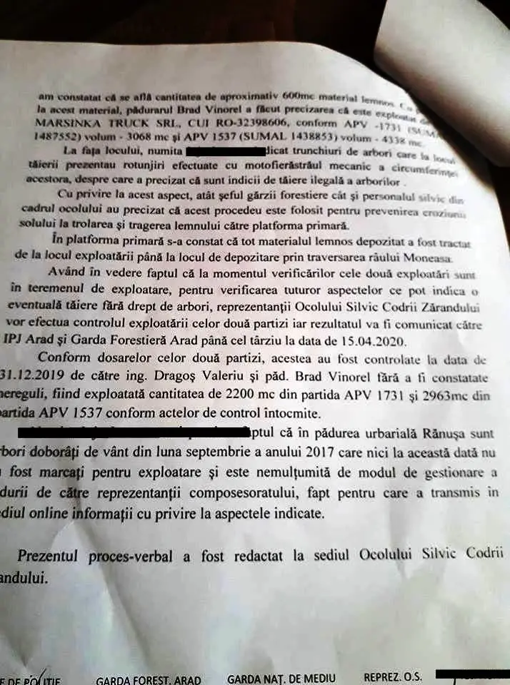 PĂDURILE trec printr-o CATASTROFĂ mult mai gravă decât PANDEMIA NOASTRĂ! Garda de Mediu a fost „în control” la Moneasa și s-a întors la Arad mahmură și plină de bani. După ce a plecat, DRUJBELE lui Nuțu Herbei și ale celorlalți TÂLHARI ai STATULUI și-au reînceput treaba la RĂNUȘA! [PROBE FOTO]