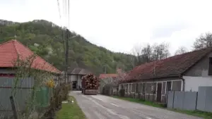 polițiștii arădeni au reușit (într-un