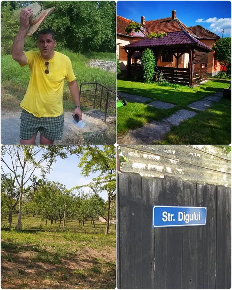 Gospodărirea Comunală Arad a ajuns TERITORIUL unei MAFII POLITICE, condus tiranic de FINUL Tiberiu CIUL, supervizat de NAȘA Geanina PISTRU și protejat de MARELE PARTID