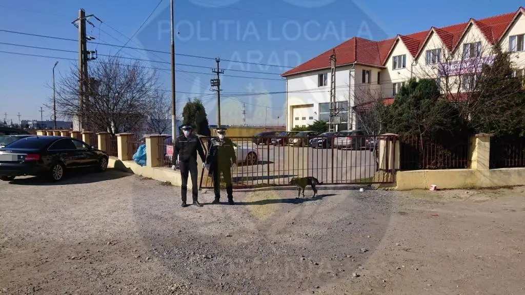 Pentru cine a fost această PANDEMIE PROFITABILĂ? Pentru GUVERNANȚI: HOȚI care fură cu C.A.S.-ul, TĂIETORII DE PĂDURI și „oamenii de afaceri” ai STATULUI CORUPT. RESTUL de 99% suntem și mai săraci, și mai proști decât acum 2 luni!