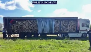ajunsese la nădlac cu transportul