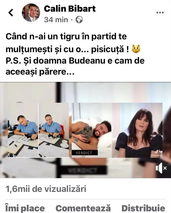 Primarul interimar al „Aradului sub apa de ploaie”, Călin Bibarț, se plictisește în timpul orelor de program și are chef de făcut mișto de contribuabili