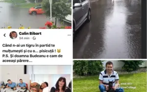 primarul interimar al „aradului sub