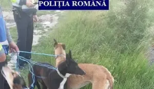 trend nou” la braconieri