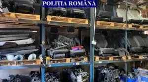 o evaziune fiscală de 50.000