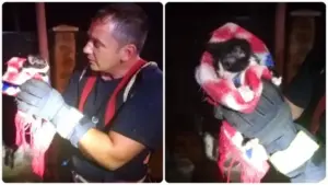 respect pompierlor din sebiș