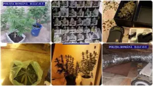 efectul pană asupra agriculturii