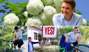 călinul ca plantă politică
