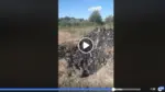 Bombă ecologică pe malul crișului între ineu și bocsig. I se aduc acuzații grave primarului călin abrudan 23 ineu