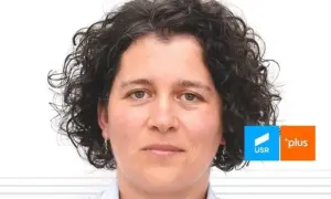 adevărul despre incidentul