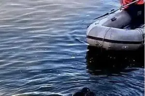 scafandri ai detașamentului de pompieri