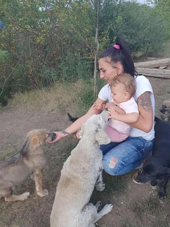 Și de ziua ei, IASMINA MOȚ ajută cățeii fără stăpân! TOȚI putem contribui la acest cadou pe care-l împărtășește cu cele mai nevinovate ființe