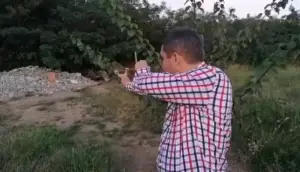 bibarț e „praștie” la toate subiectele