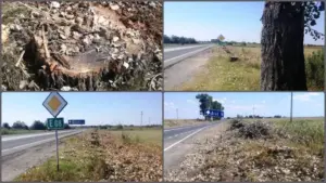 cadou” de la consiliul județean arad