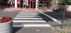 bibarț se ceartă cu înotătorii