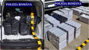 un important microbuz burdușit