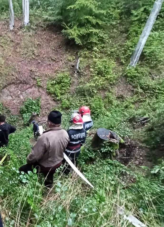 RESPECT echipajului Școlii de Pompieri Boldești care a salvat un CAL căzut într-o râpă de 25 de metri, la Brazii! [FOTO]