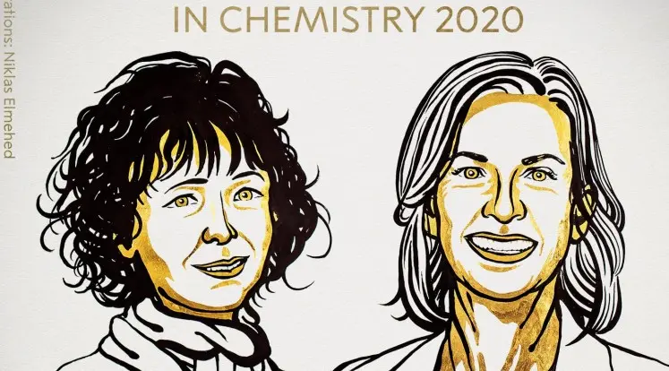 Câștigătorii Premiilor NOBEL 2020