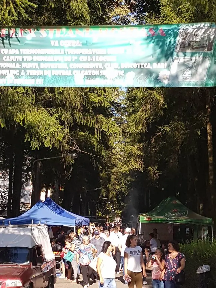 O incursiune virtuală în stațiunea Moneasa