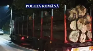 hoți de lemne „specializați” din vâlcea