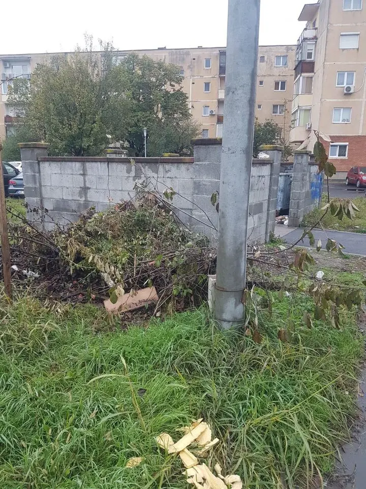 [ACTUALIZARE] Levente Bognar și Sergiu Bîlcea au părut uimiți de problema GUNOIULUI în Arad. Proiectul de hotărâre privind majorarea tarifului a fost retras de pe ordinea de zi până se dumiresc consilierii