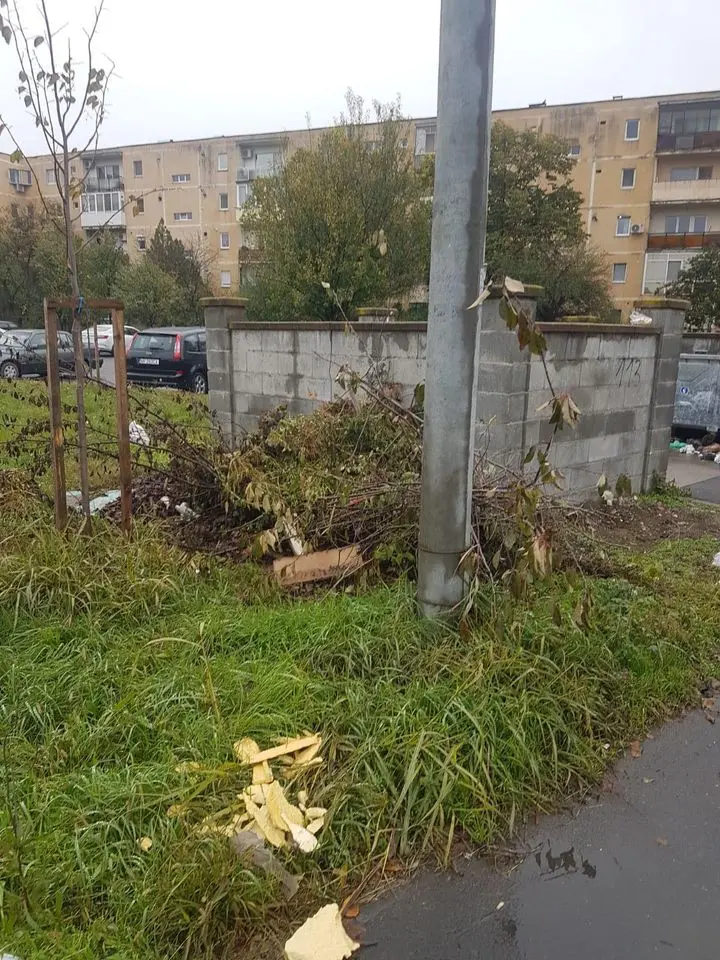 [ACTUALIZARE] Levente Bognar și Sergiu Bîlcea au părut uimiți de problema GUNOIULUI în Arad. Proiectul de hotărâre privind majorarea tarifului a fost retras de pe ordinea de zi până se dumiresc consilierii