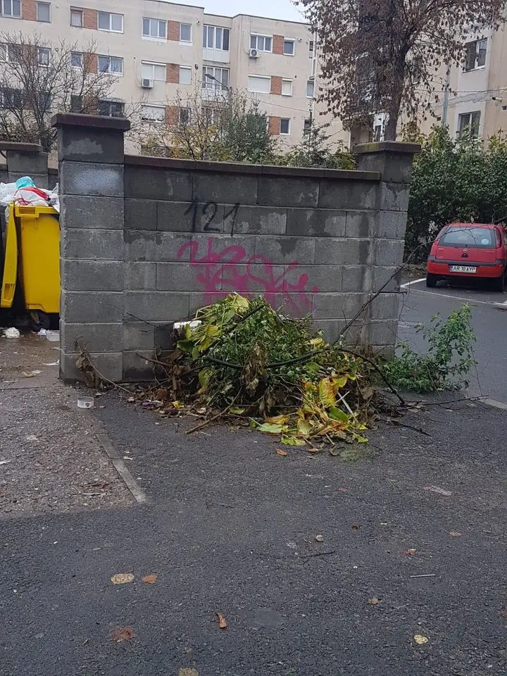 [ACTUALIZARE] Levente Bognar și Sergiu Bîlcea au părut uimiți de problema GUNOIULUI în Arad. Proiectul de hotărâre privind majorarea tarifului a fost retras de pe ordinea de zi până se dumiresc consilierii