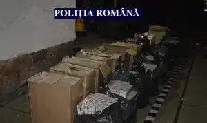 șase mandate de percheziție