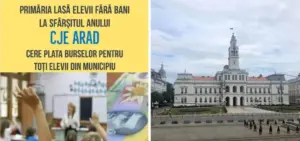 consiliul județean al elevilor arad