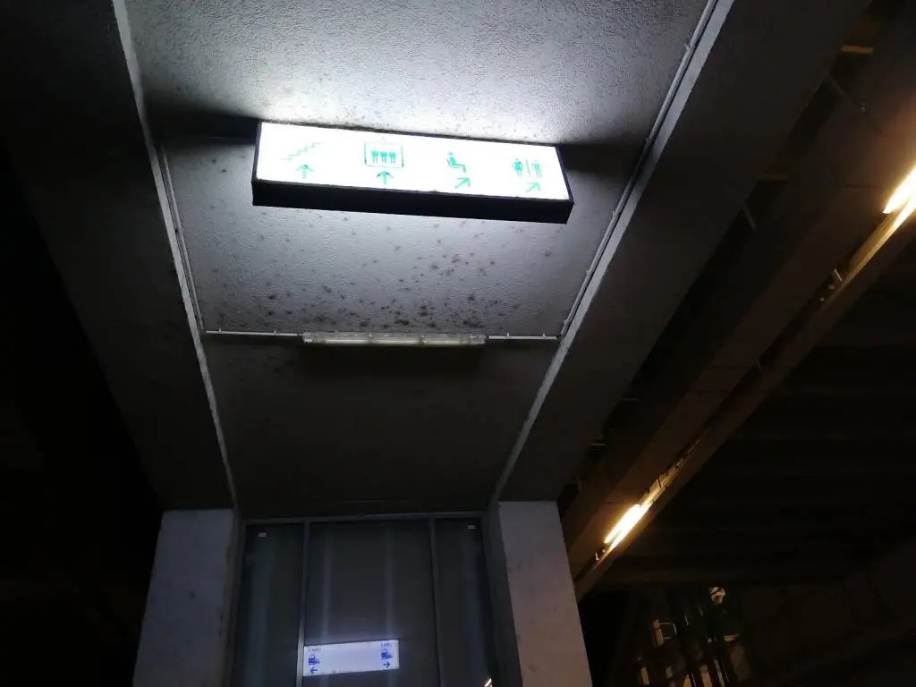 Gara din Arad - între reabilitarea de sute de milioane de euro și realitatea luată la bani mărunți: o spoială deprimantă, renovată „de ochii lumii”, o scurgere de bani publici care stă pe un prister acoperit de rahat de porumbei vagabonzi [FOTO / VIDEO]