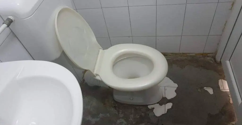 Cum arată un COȘMAR? Să fii copil, să fii internat pe Secția Neuropsihiatrie Infantilă a Spitalului Județean Arad și să ai o toaletă care arată așa!