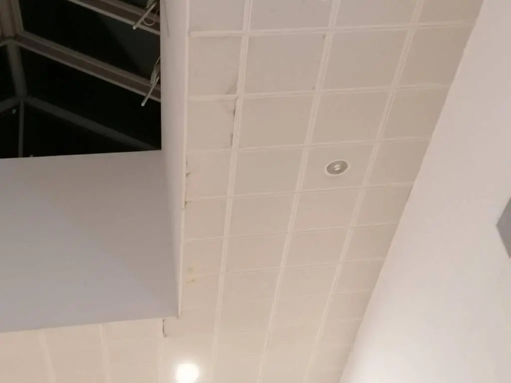 Gara din Arad - între reabilitarea de sute de milioane de euro și realitatea luată la bani mărunți: o spoială deprimantă, renovată „de ochii lumii”, o scurgere de bani publici care stă pe un prister acoperit de rahat de porumbei vagabonzi [FOTO / VIDEO]