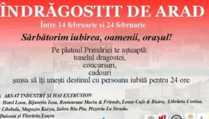 bibi e îndrăgostit de arad