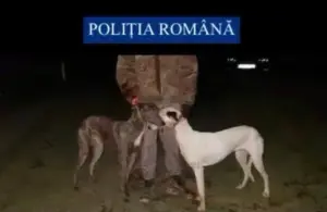 percheziții la zece domicilii
