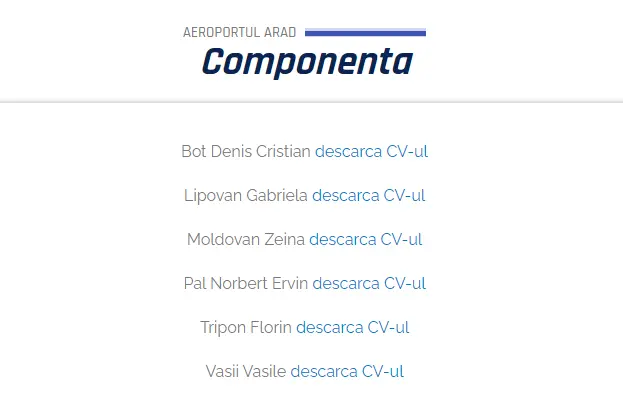 COD GALBEN de pile, nepotisme și relații în NOUL Consiliu de Administrație al Aeroportului Arad