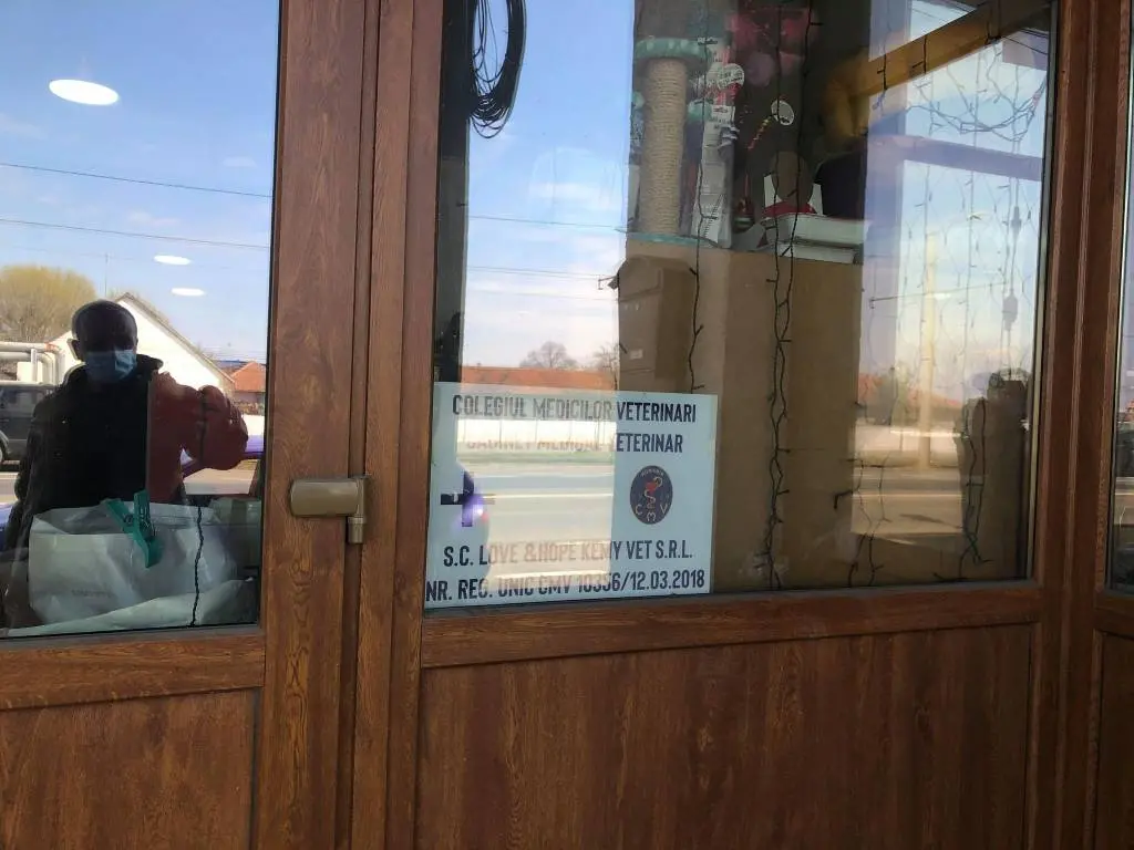 Primul CAZ CU MIZĂ MARE pentru nou-înființata Poliție a ANIMALELOR din Arad: MISTERIOASA INCINERARE a puilor BULLDOG FRANCEZ Daisy și Alfie, decedați - conform medicului veterinar - după ce au fost confirmați cu CORONAVIROZĂ