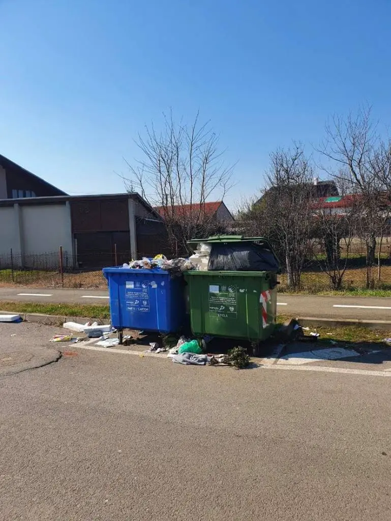 O familie din Arad, exasperată să curețe gunoiul după Retim, face apel către primărie să ridice de pe strada lor tomberoanele