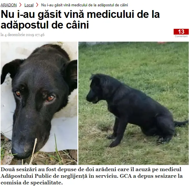 [ACTUALIZARE 2] NESIMȚIREA AGRESIVĂ a „famigliei” Crețiu, jucăriile furate ale câinelui-martir Zeus și alte porcării securistoide în derulare... ca prefață la întâlnirea de luni, cu primarul Bibarț, pe această temă