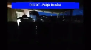 grup organizat de „loverboys” -