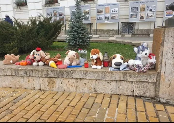 [ACTUALIZARE 2] NESIMȚIREA AGRESIVĂ a „famigliei” Crețiu, jucăriile furate ale câinelui-martir Zeus și alte porcării securistoide în derulare... ca prefață la întâlnirea de luni, cu primarul Bibarț, pe această temă