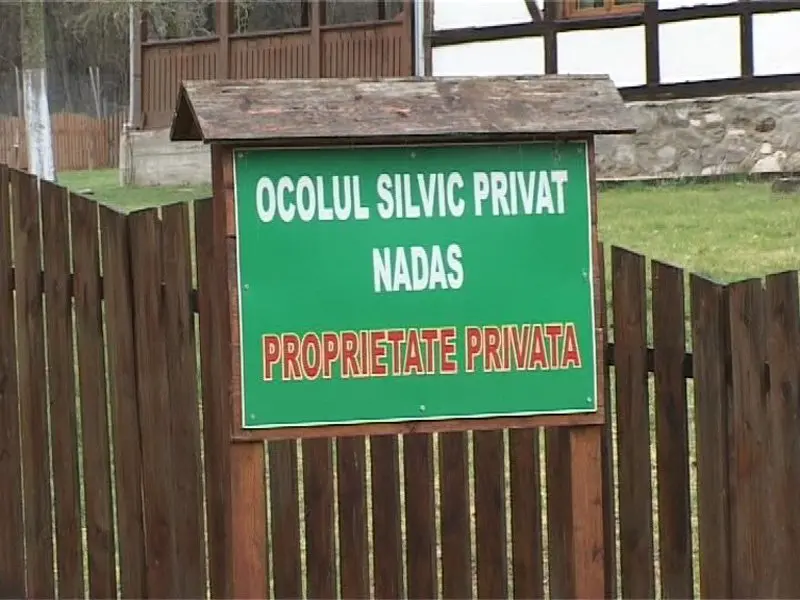 [ACTUALIZARE 2] Notarul Adrian Vlai, familia Colțeu și Ocolul Silvic Privat Nadăș au fost achitați de instanță în dosarul privind infracțiunea de abuz în serviciu cu consecințe deosebit de grave, respectiv instigare la abuz în serviciu și tăinuire