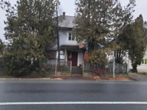 a fost găsită autoarea accidentului