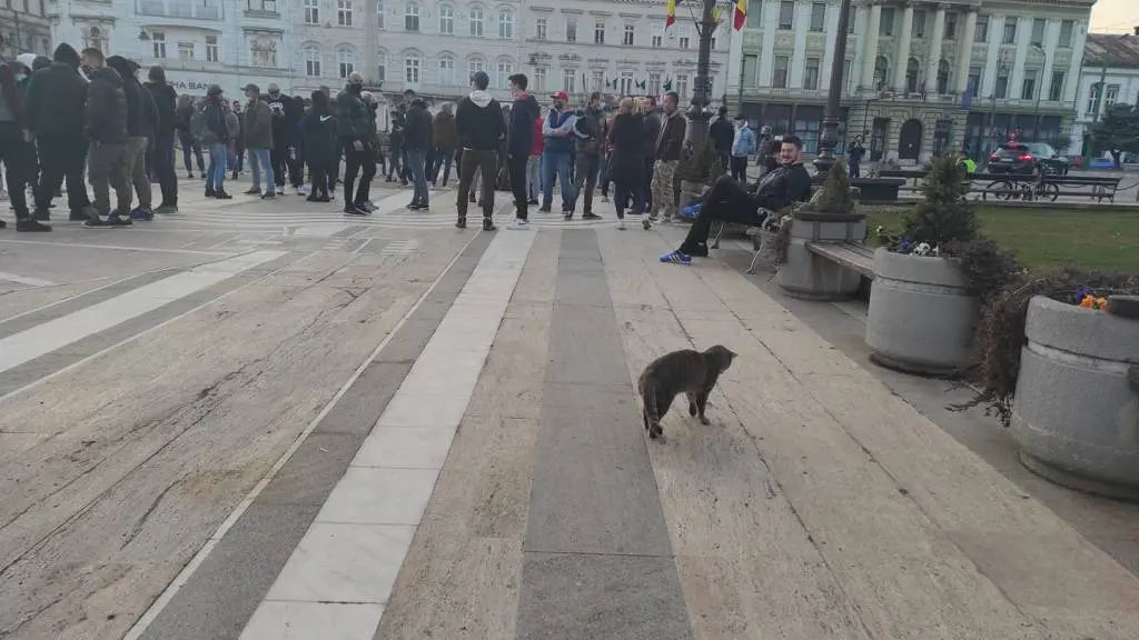 Fără POLITICĂ, fără INSTIGĂRI și fără VIOLENȚĂ, ARĂDENII au ieșit azi-noapte în număr mare în stradă pentru a protesta față de RESTRICȚIILE STUPIDE impuse de AUTORITĂȚI [FOTO / VIDEO]