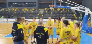succes clar pentru "galben-albastre