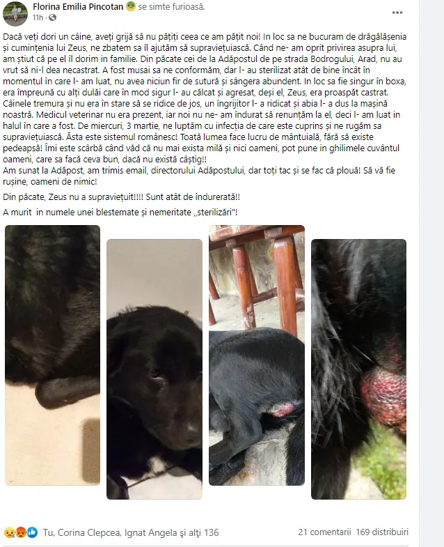 [ACTUALIZARE 2] NESIMȚIREA AGRESIVĂ a „famigliei” Crețiu, jucăriile furate ale câinelui-martir Zeus și alte porcării securistoide în derulare... ca prefață la întâlnirea de luni, cu primarul Bibarț, pe această temă